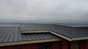 Best Steel Roofing  in Fraser, CO